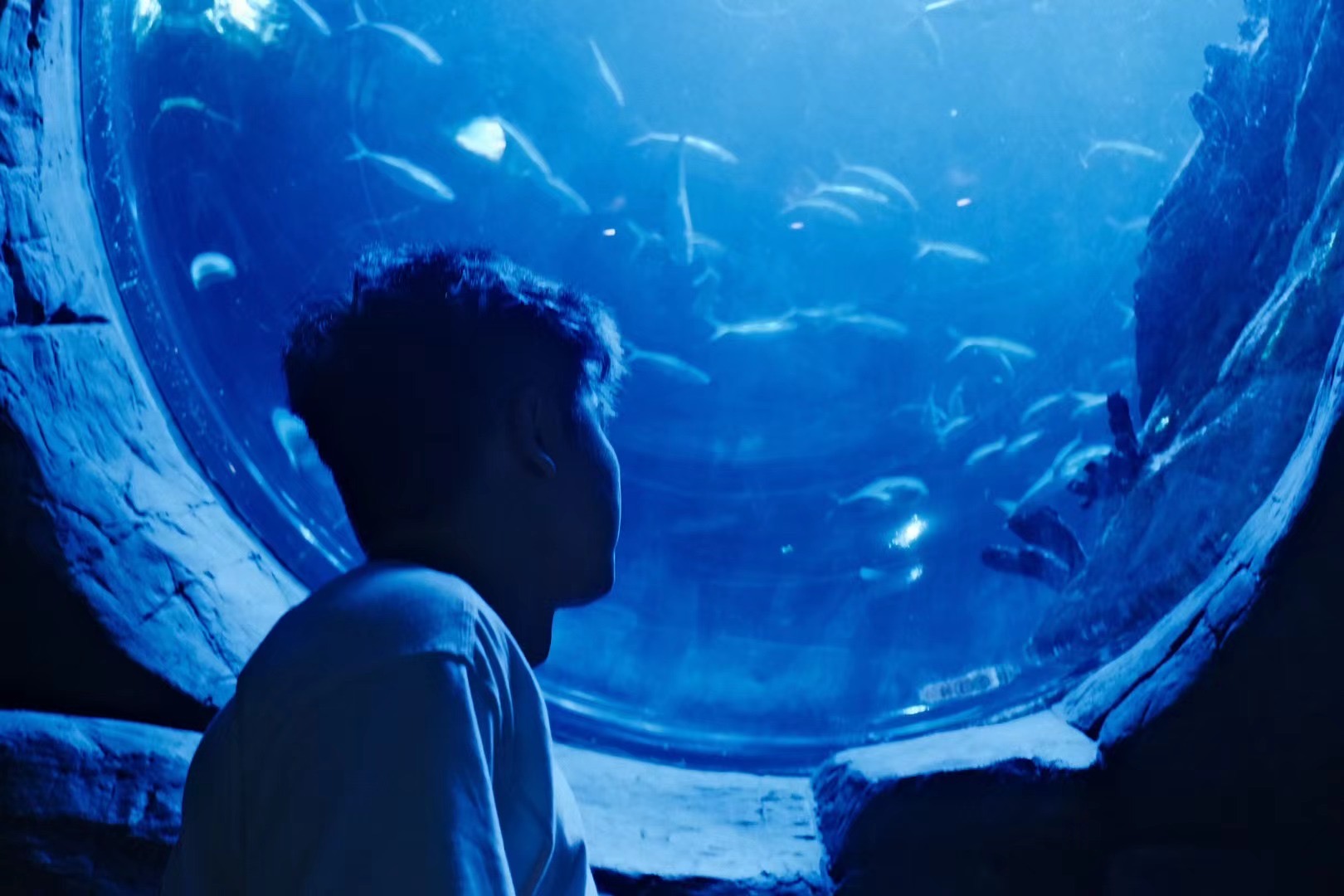 At the aquarium, blue light